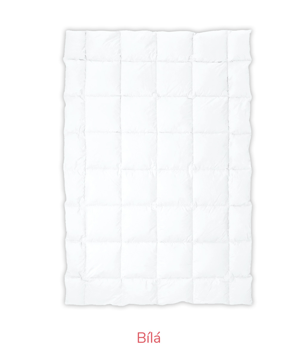 bila-kostky-vse-text