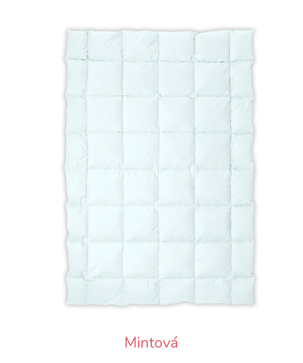 mintova2-kostky-vse-text