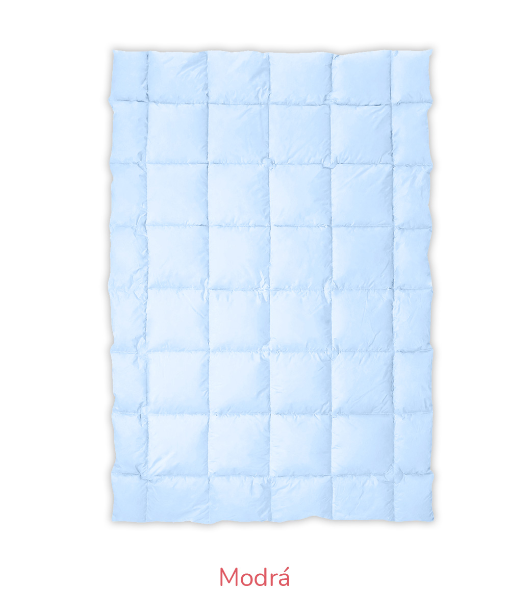 modra-kostky-vse-text